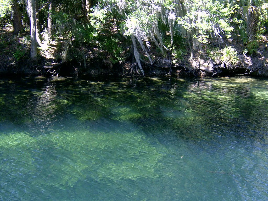 Blue Springs State Park by John Paquette