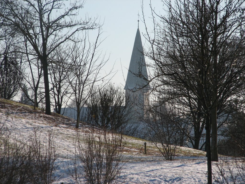 Plieningen, Martinskirchturm vom Exotischen Garten aus by Lothar Wiese