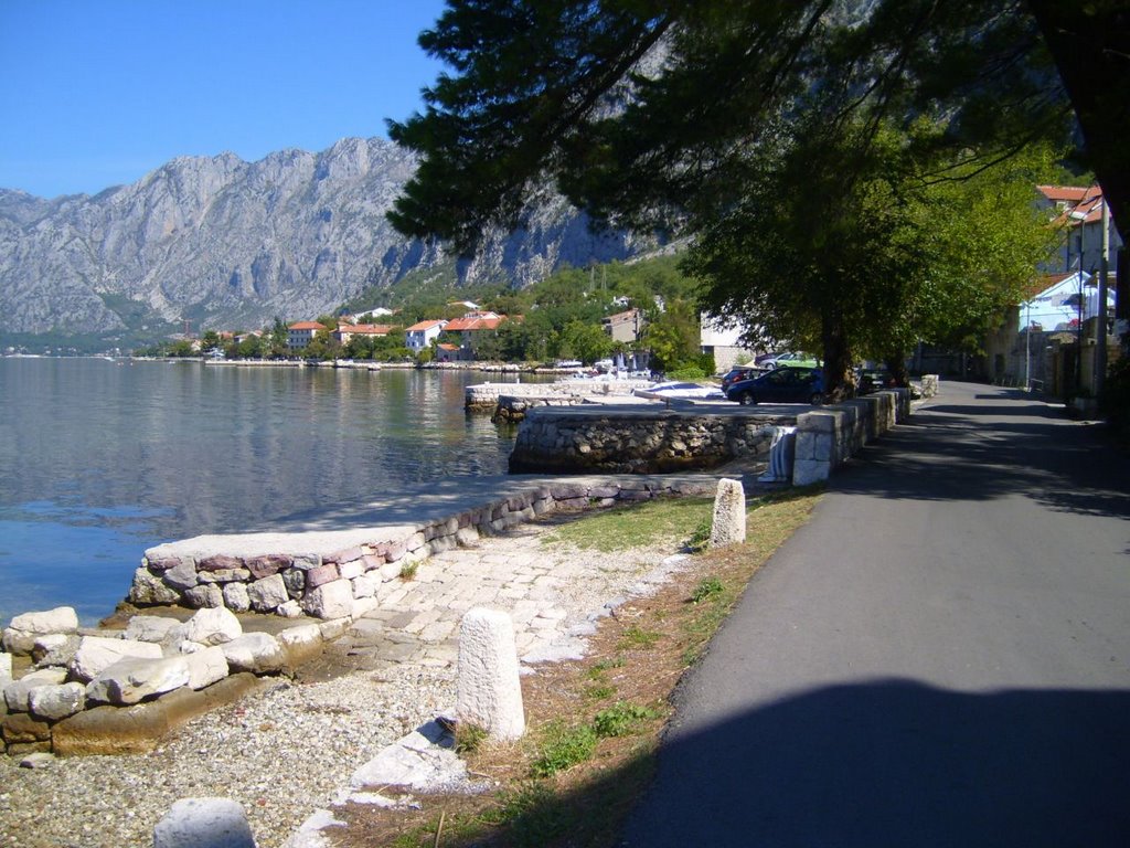 Kotor, put pored mora by Dejan Kovačević