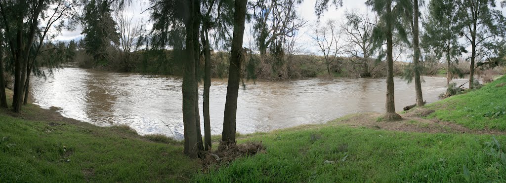 Macquarie River at Eglington by Richard Sollorz