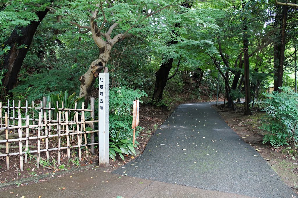 弘法寺古墳 -GuhoJi Ancient Tomb- by Saruman8000