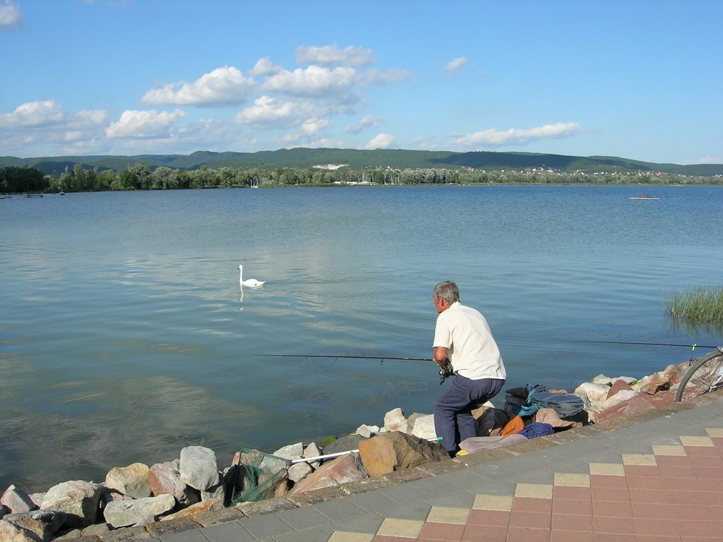 Pescador Lago balaton by Rafael Noe