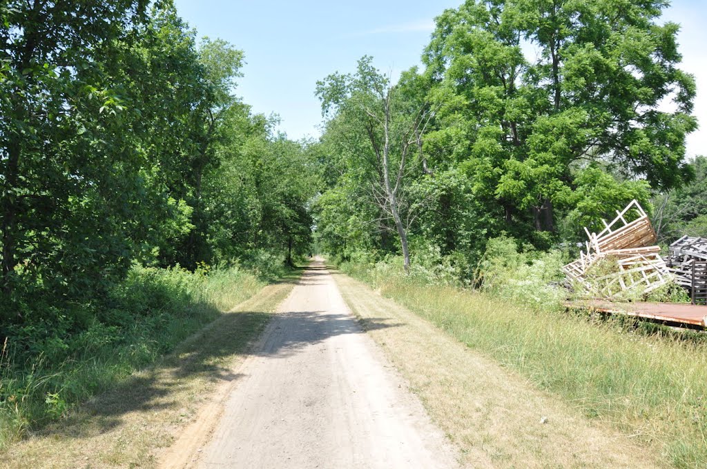 Mohican Velly Trail Looking West at Buckeye Road by Pittenger