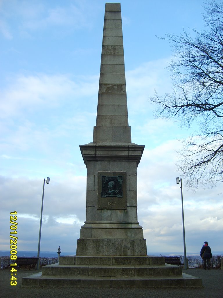 Canossasäule neben der Harzburg by j.e.c