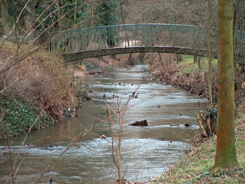 Pfrimmpark Hochheim by Meierhofer