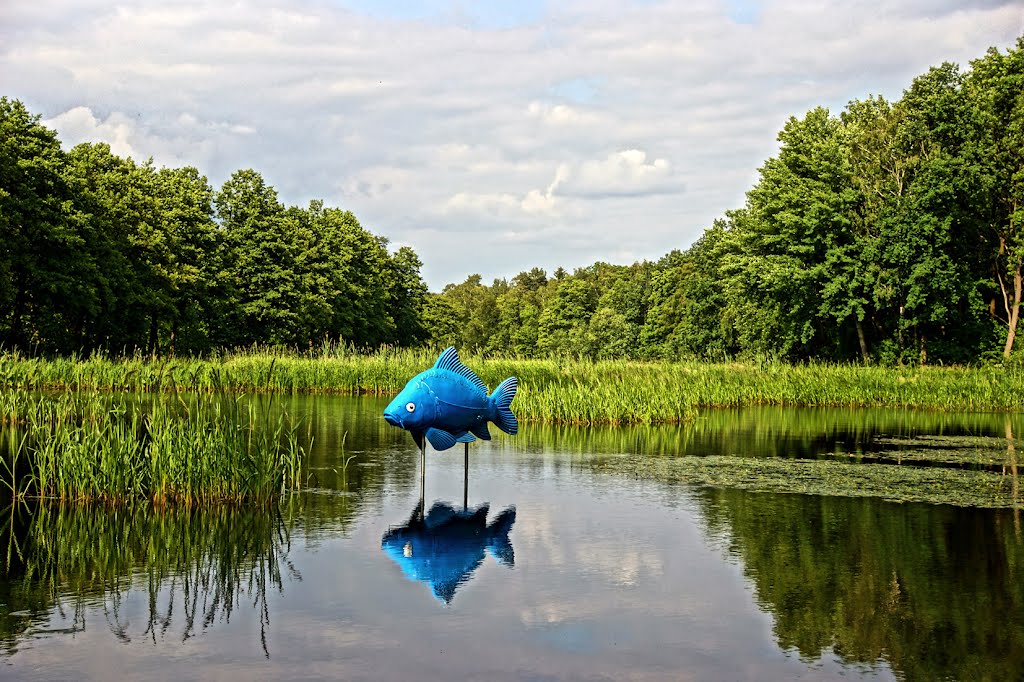 Aschauteiche, Juni 2012 (HDR) by H.Sandvoß