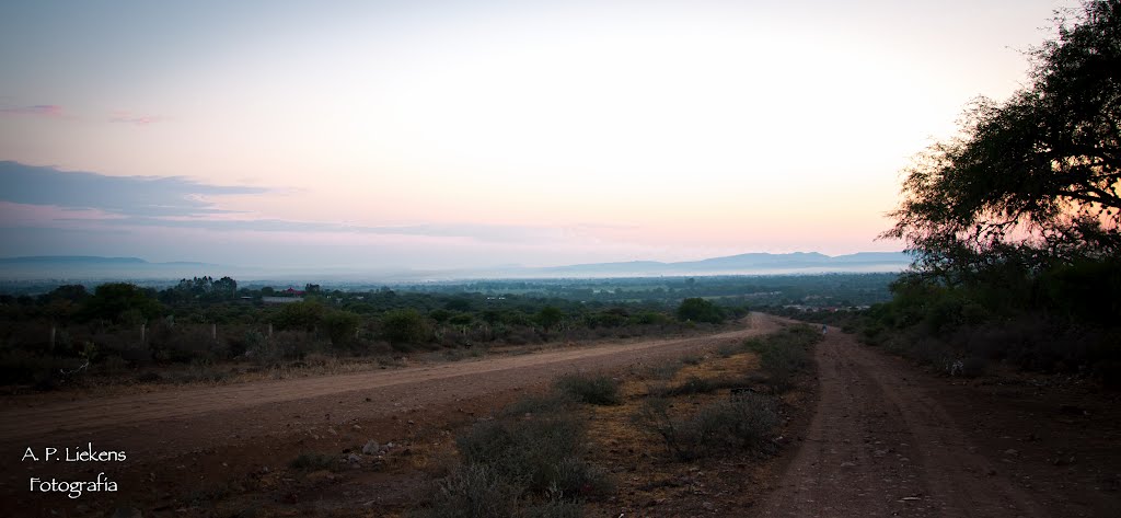 AMANECER RANCHERO by A. P. Liekens