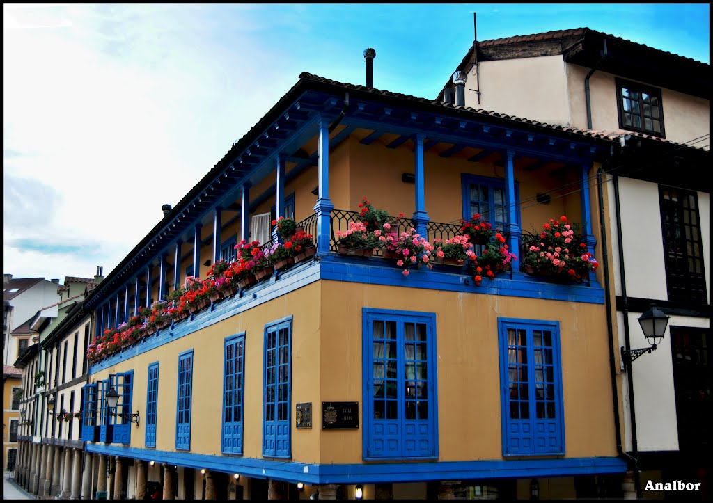 El Fontán (Oviedo),para Faustino ¡¡¡FELICIDADES !!! by Analbor