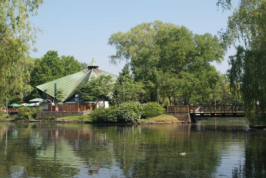 View Of Toronto Centre Island by RinoBarone