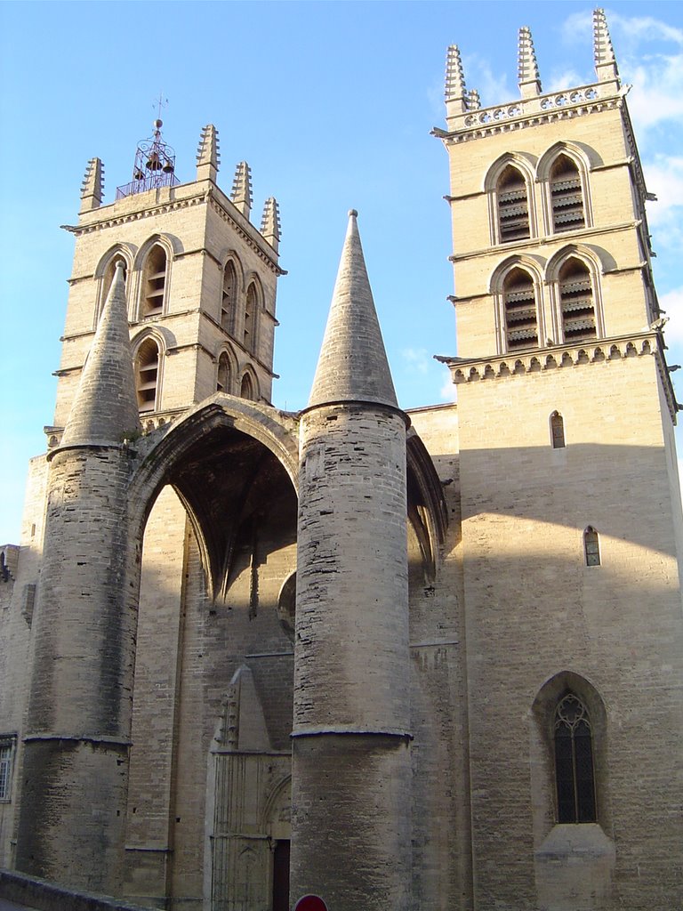 Cathédrale St Pierre by greenfairy