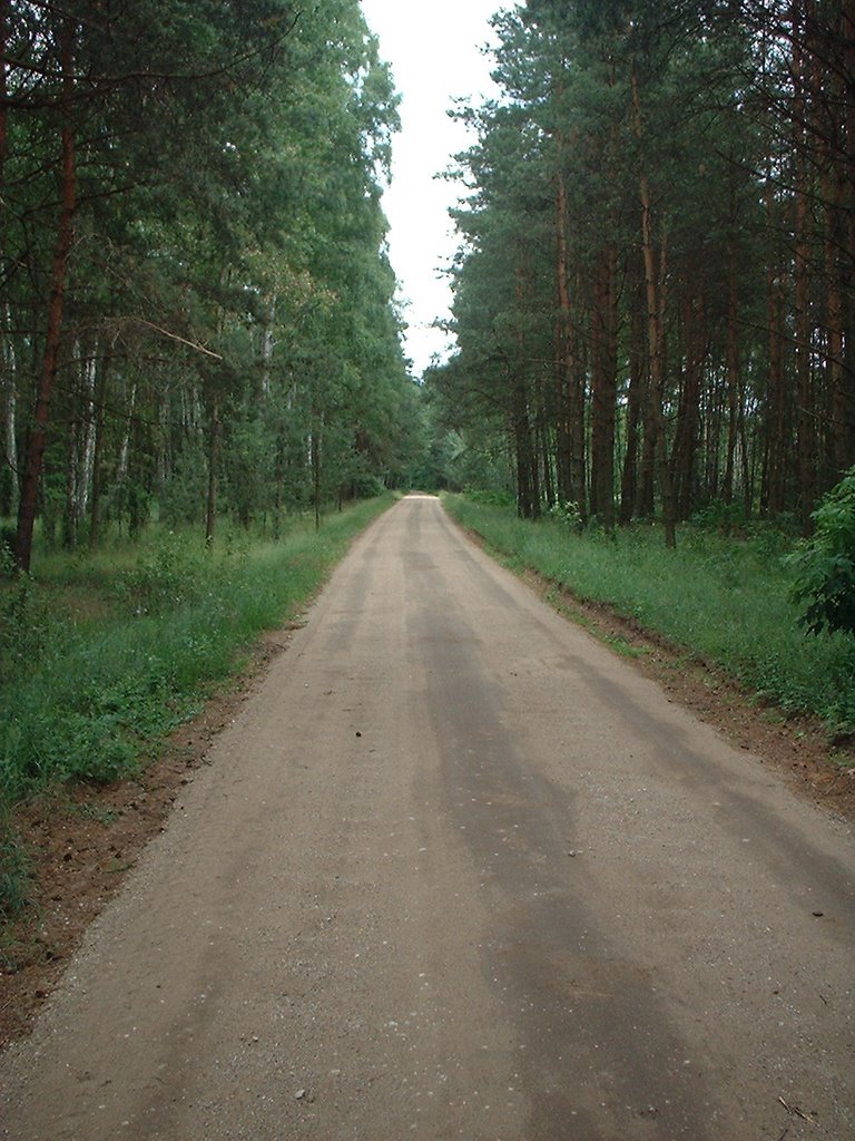 Village road Krajeczyn-Grabie by jacek_nad