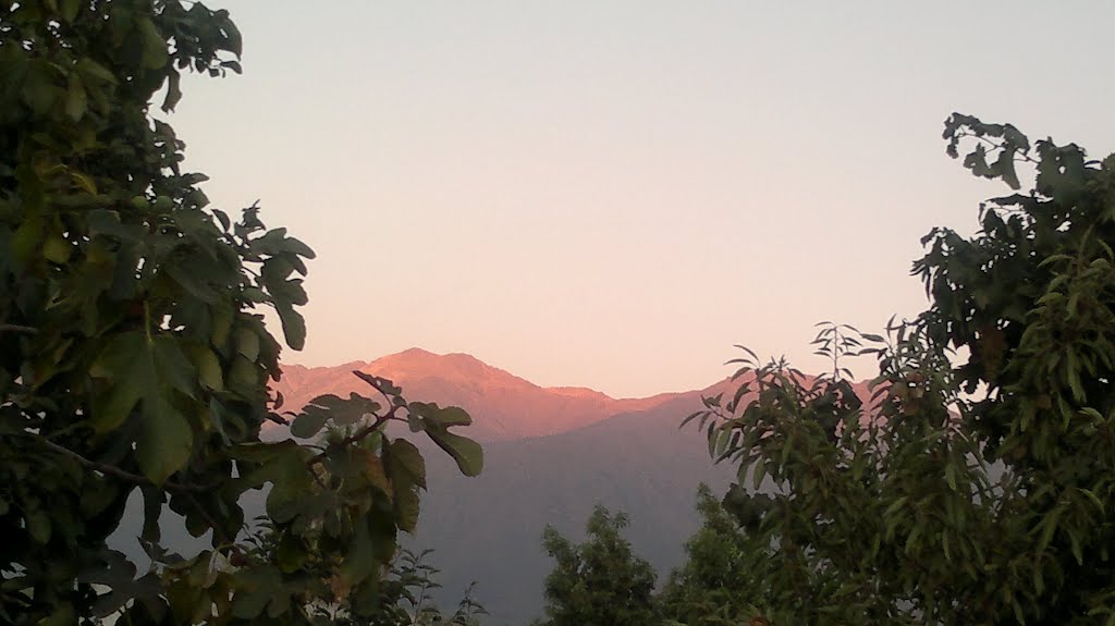 Vista del cerro desde mi techo by christian catalan