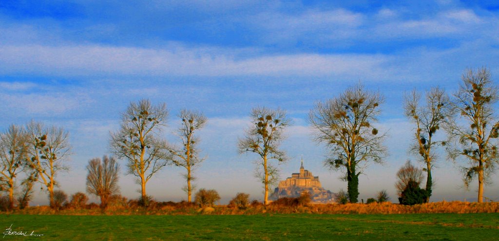 MONT SAINT MICHEL...MANCHE...FRANCE... by BORDEAU Alain.(NO VIEWS!)