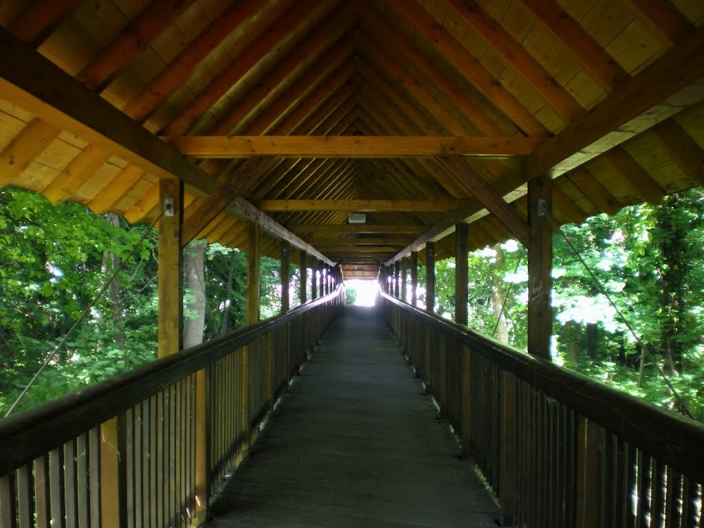 Holzbrücke by Gregor Koppel