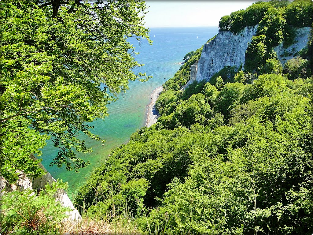 Rugia.Jasmund National Park, chalk cliff.... [ks] by Krystyna SIEG