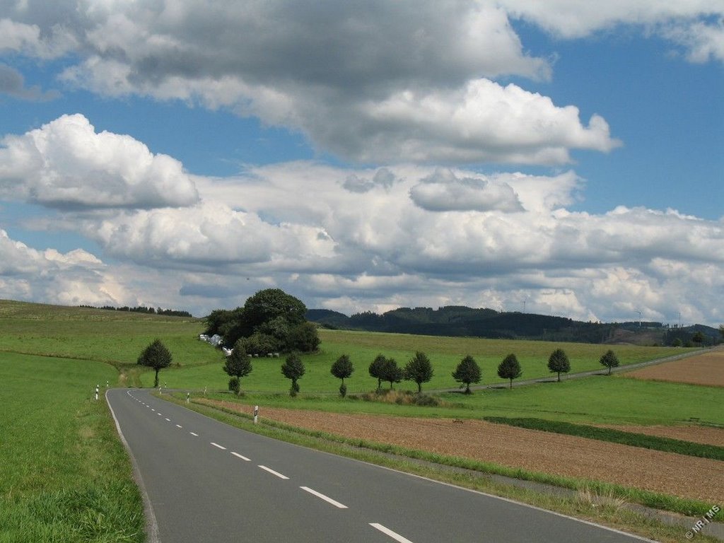 Straße zwischen Ostentrop und Fretter by NR|MS