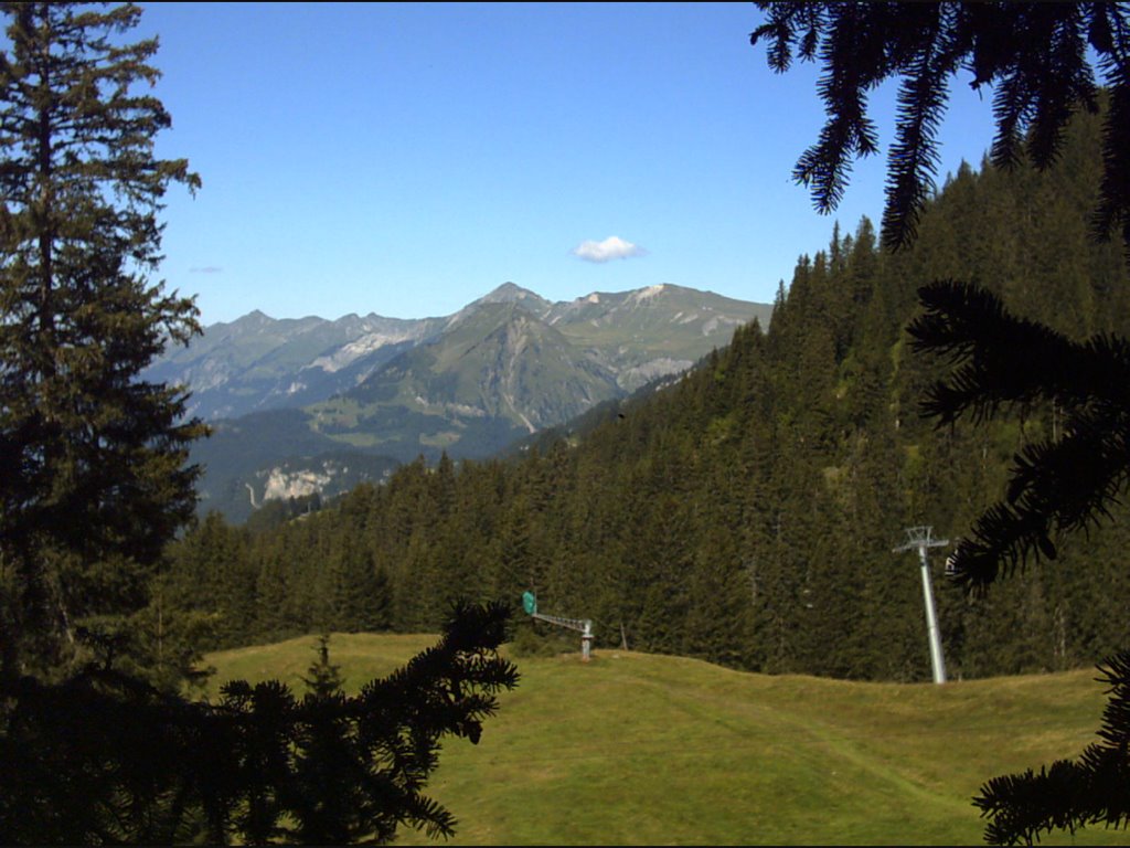 Muggestutz trail - Mägisalp to Bidmi by frannicksmith