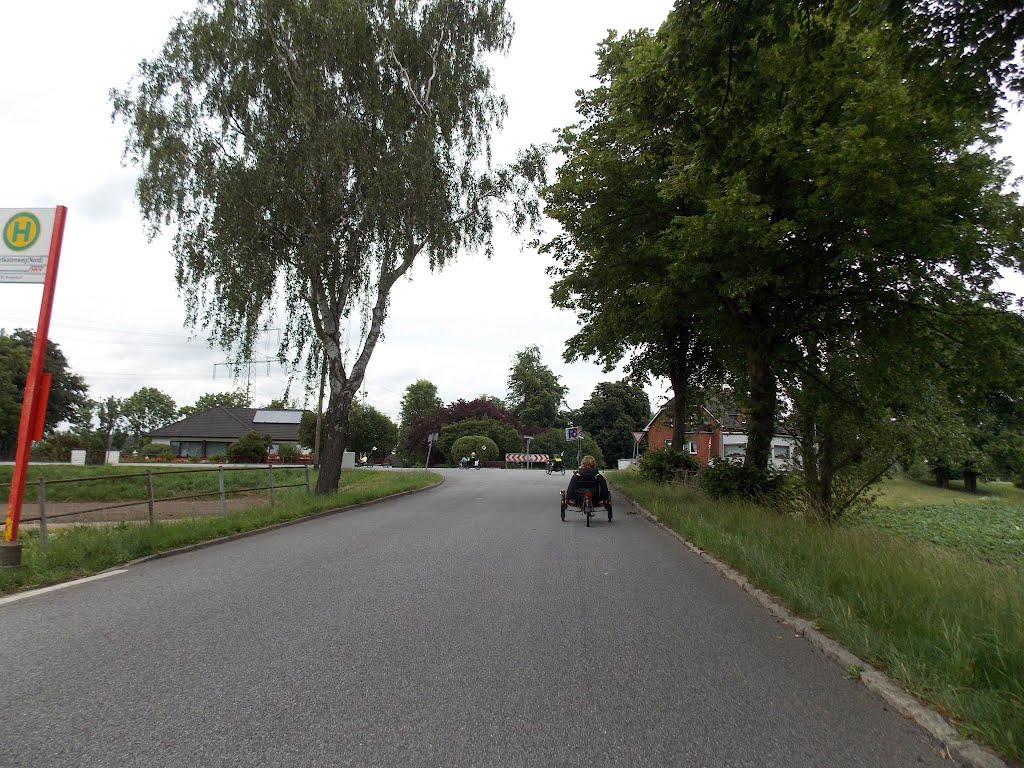 R3-Tagestour 33 am 16.06.2012 von Bergedorf in die Vier- und Marschlande und zurück nach Bergedorf (43 km), in Ochsenwerder. by kontor.r3