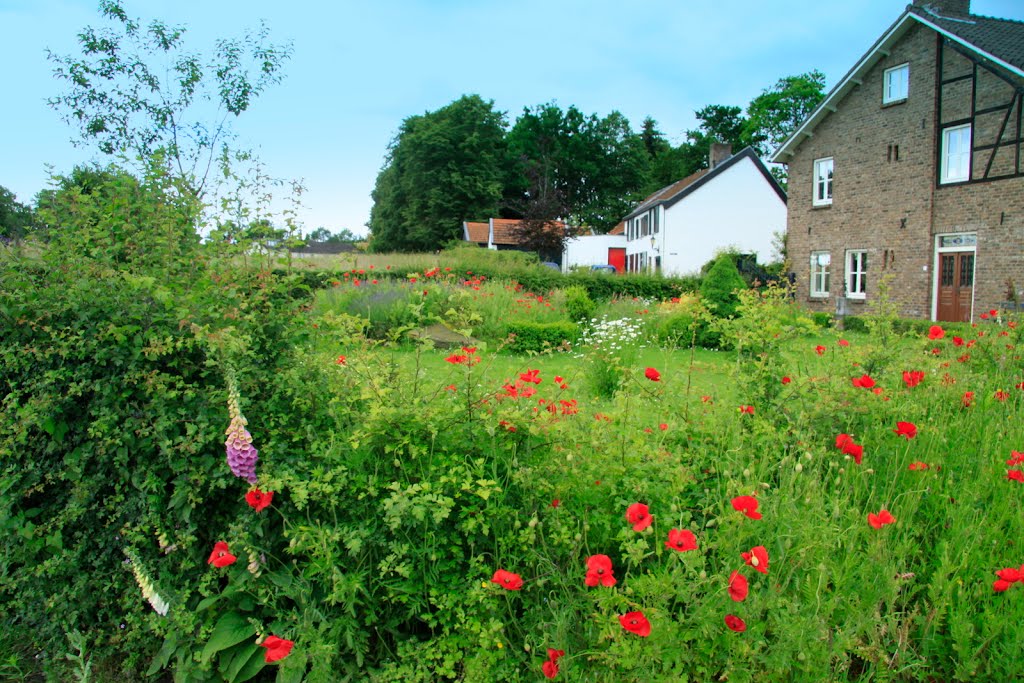 Heijenrath in de bloemetjes. by watersnip