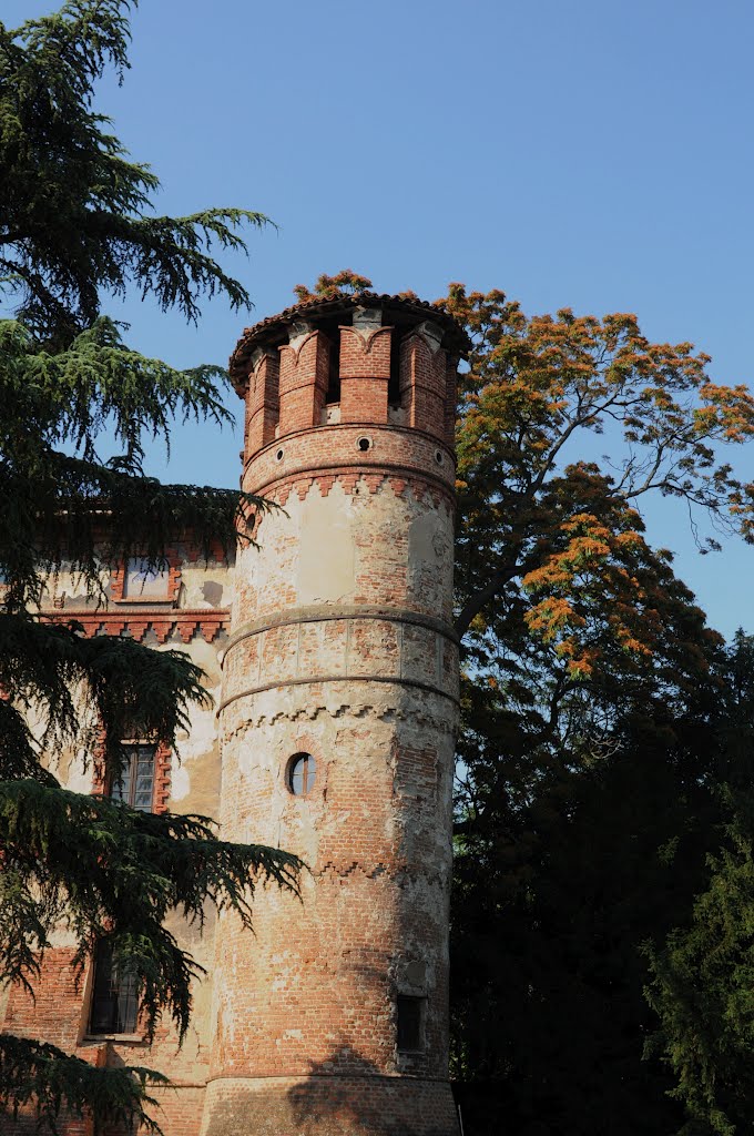 Particolare della torre del castello di Piovera by paolo salabue