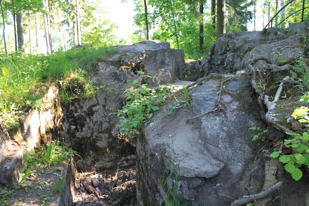 Ensimmäisen maailmansodan aikainen puolustusasema by Jorma Hokkanen