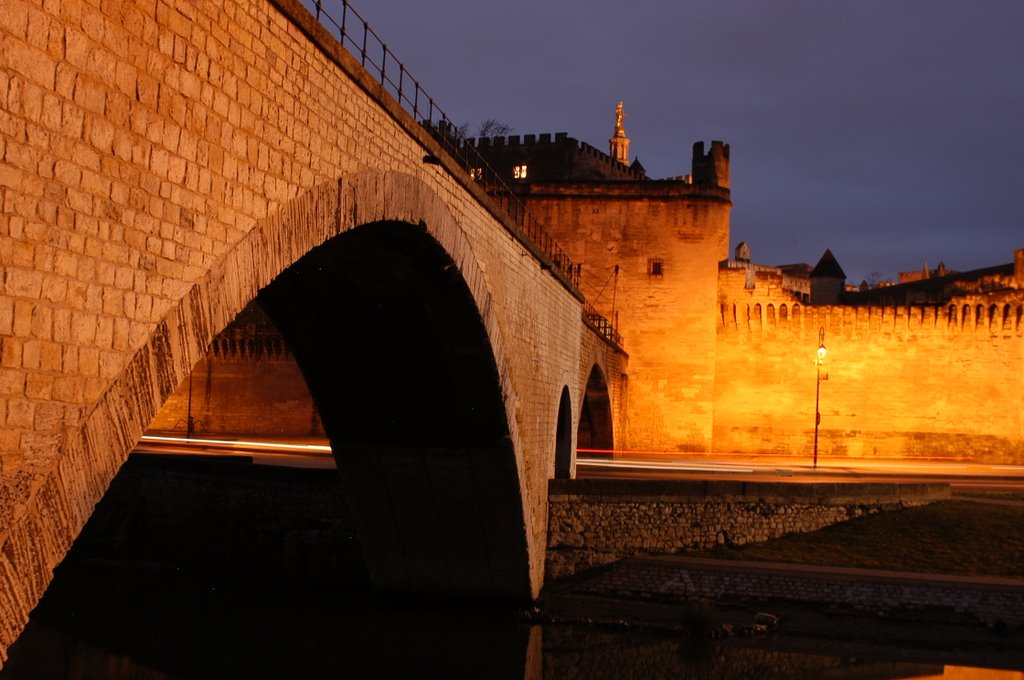 Puente de Avignon (mirando al SE)'08 by Pablo M. Barenboim