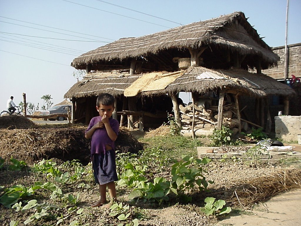 Terai, Nepal by Mario Rabey