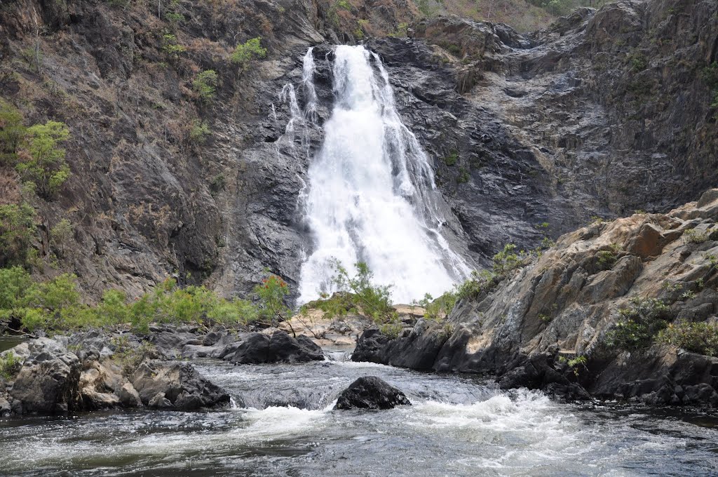 Wujal Wujal (many waterfalls) by Dave_Bris