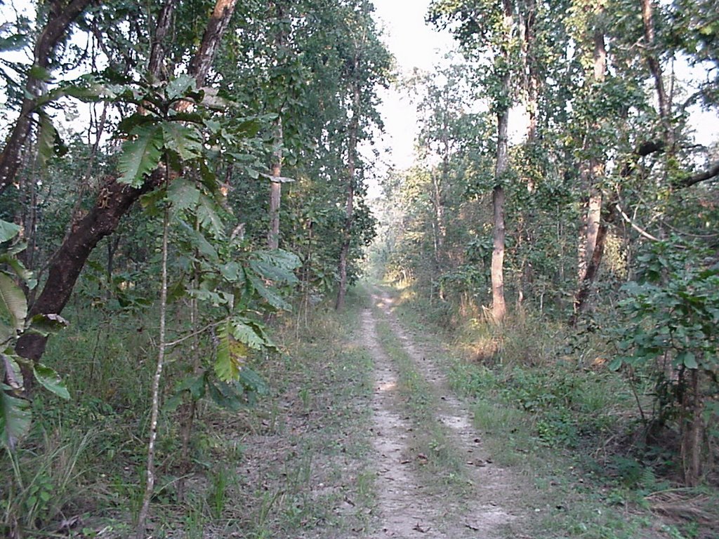 Chitwan by Mario Rabey