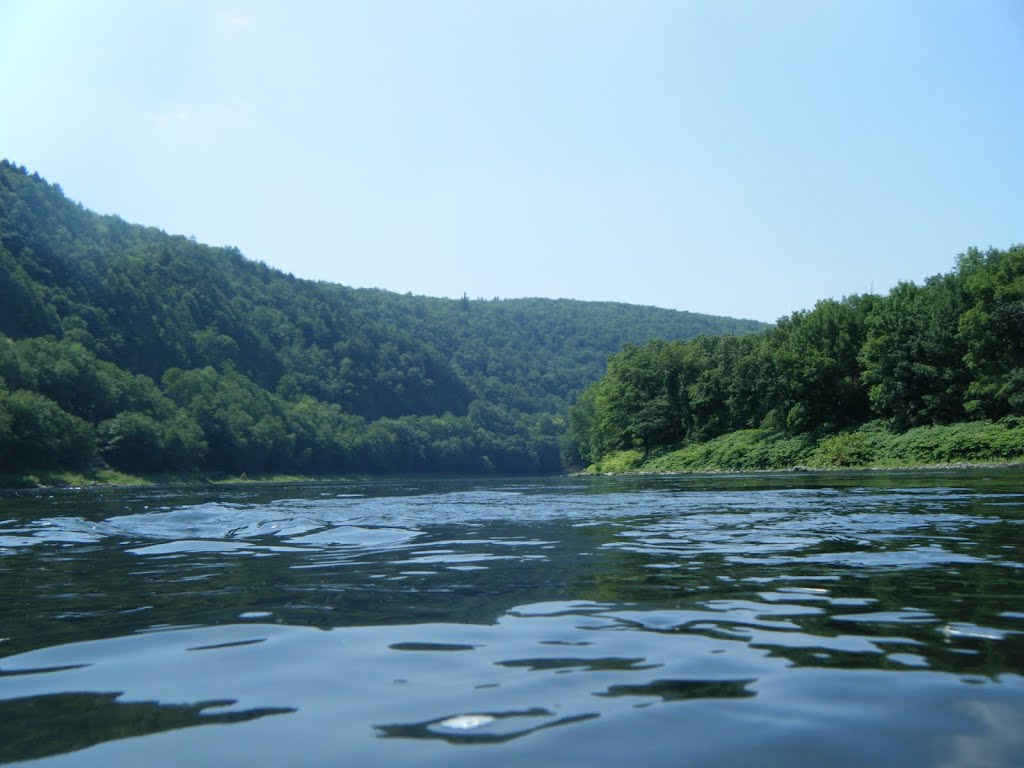 On the River by Dave Henning