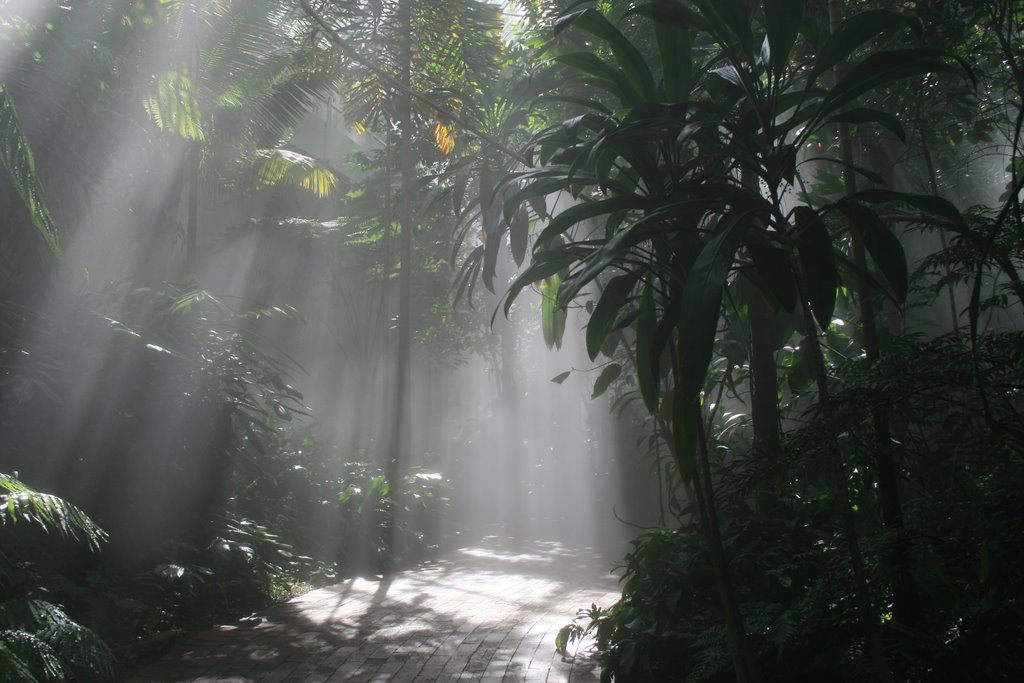 Inside the Biodome by Veres