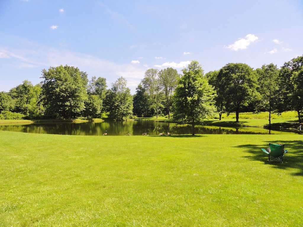 The Sourland Mountain Preserve, Hillsborough, New Jersey, USA June 2012 by Gary Miotla