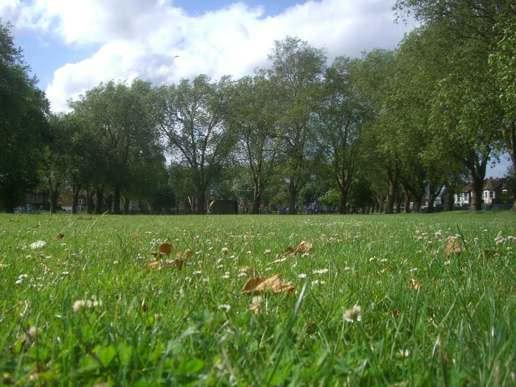 Ducketts Common green grass by fodc