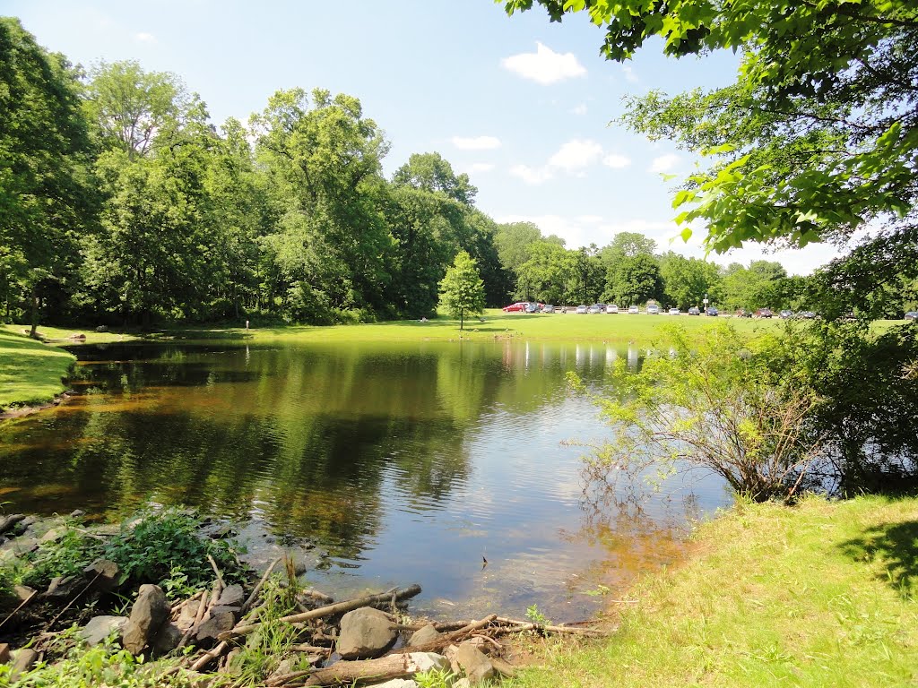 The Sourland Mountain Preserve, Hillsborough, New Jersey, USA June 2012 by Gary Miotla