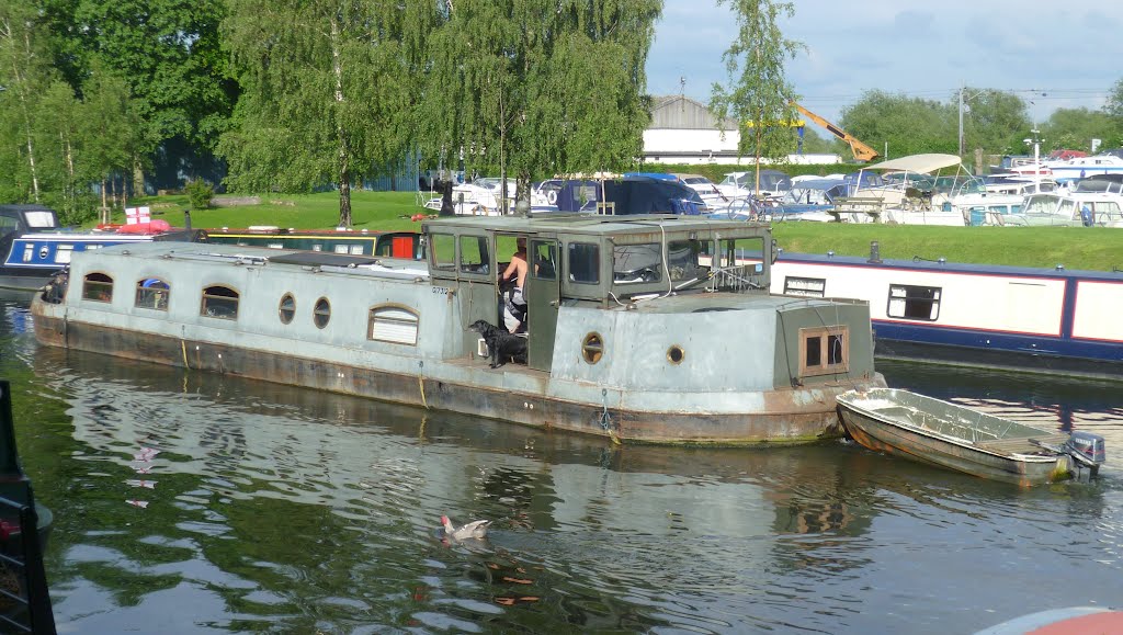 It`s a dogs life. river ouse, ely, cambs. june 2012. by Michael & Grace.