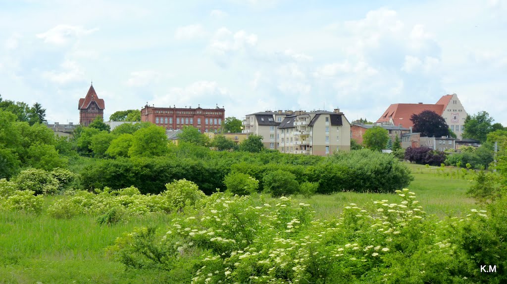 Chełmża widok z starego cmentarza. by Kazimierz .Mendlik