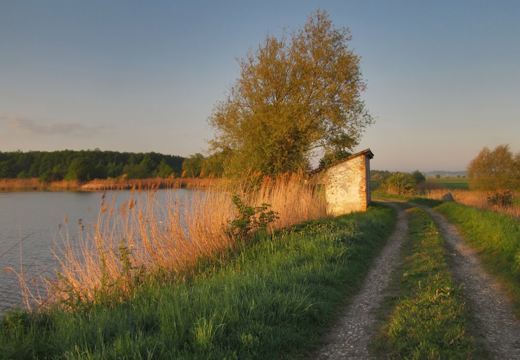 Ráno na hrázi rybníka Šmatlán - cesta k Žernovu (276,9 m n. m.) by Mirka Schärfnerová