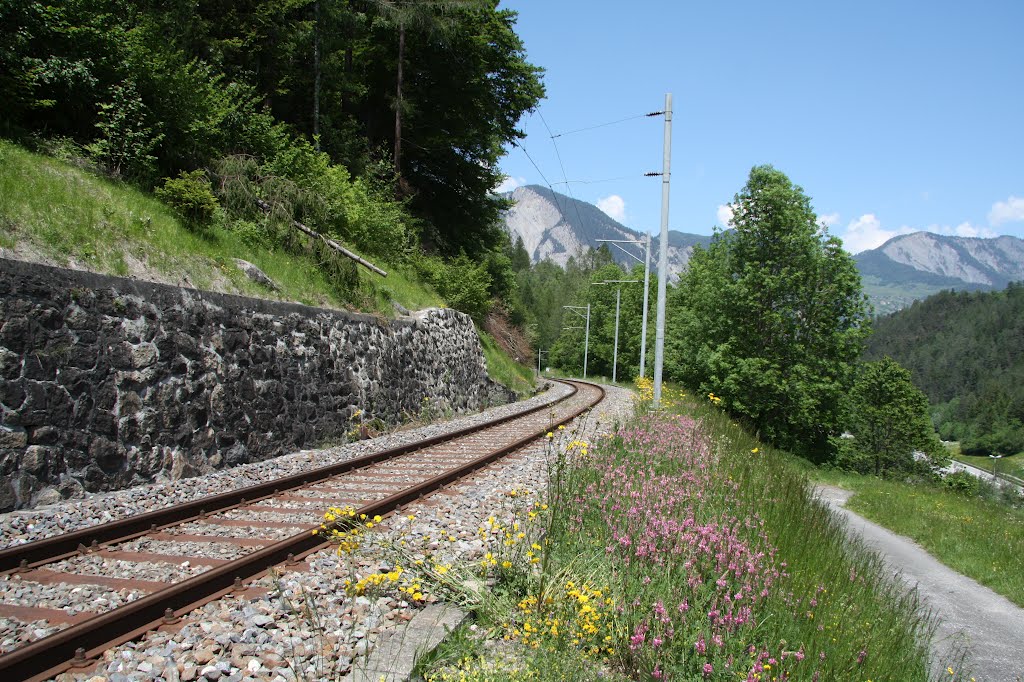 Orsières - Ligne de chemin de fer Martigny-Orsières à voie normale 1435 - La Douay by Charly-G. Arbellay