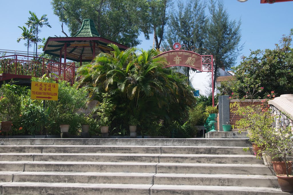 Snake Temple in Sungai Kluang, Bayan Lepas, Penang, Malaysia. by Nicola e Pina Malaysia 2011