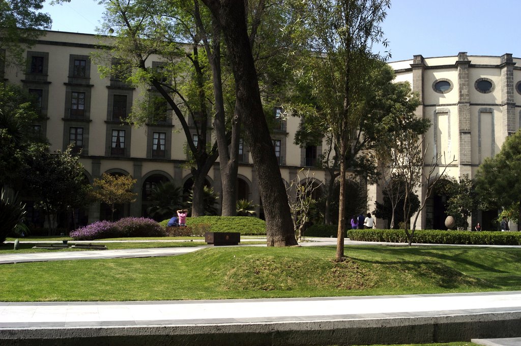 Jardin interior de Palacio by J. Ramos