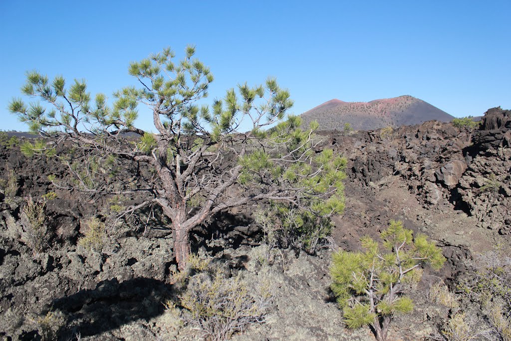 Sunset Crater by C Johnstun