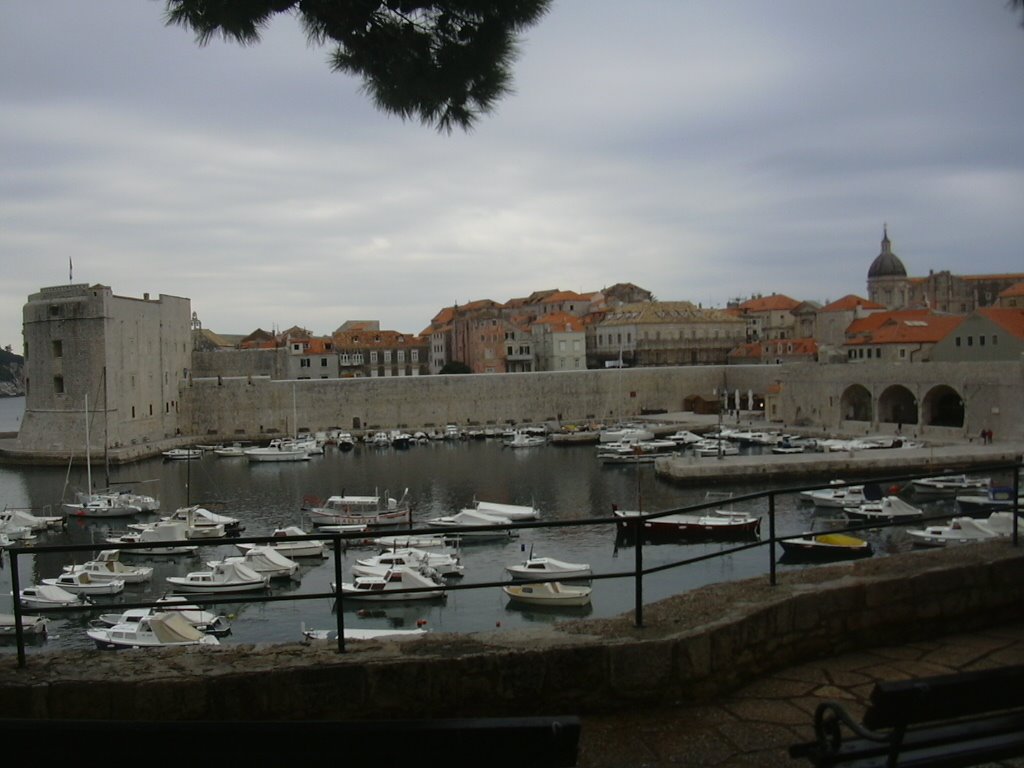 Pogled na stari grad by Zijo Eskić