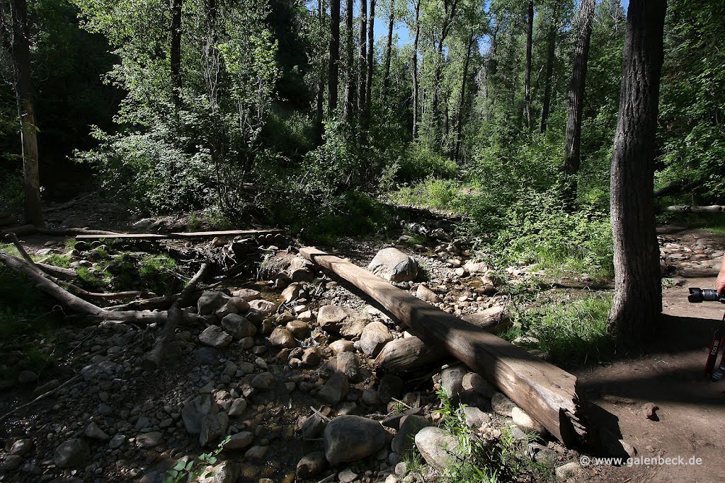 Grotto Falls Trail by www.galenbeck.de