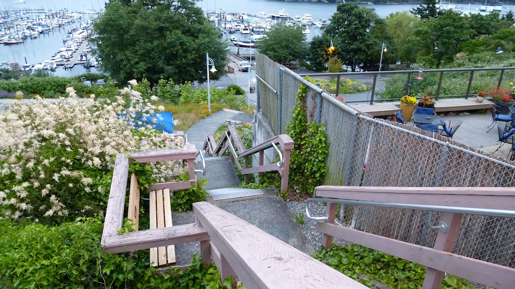 Stairs, Friday Harbor by fridayharborslacker