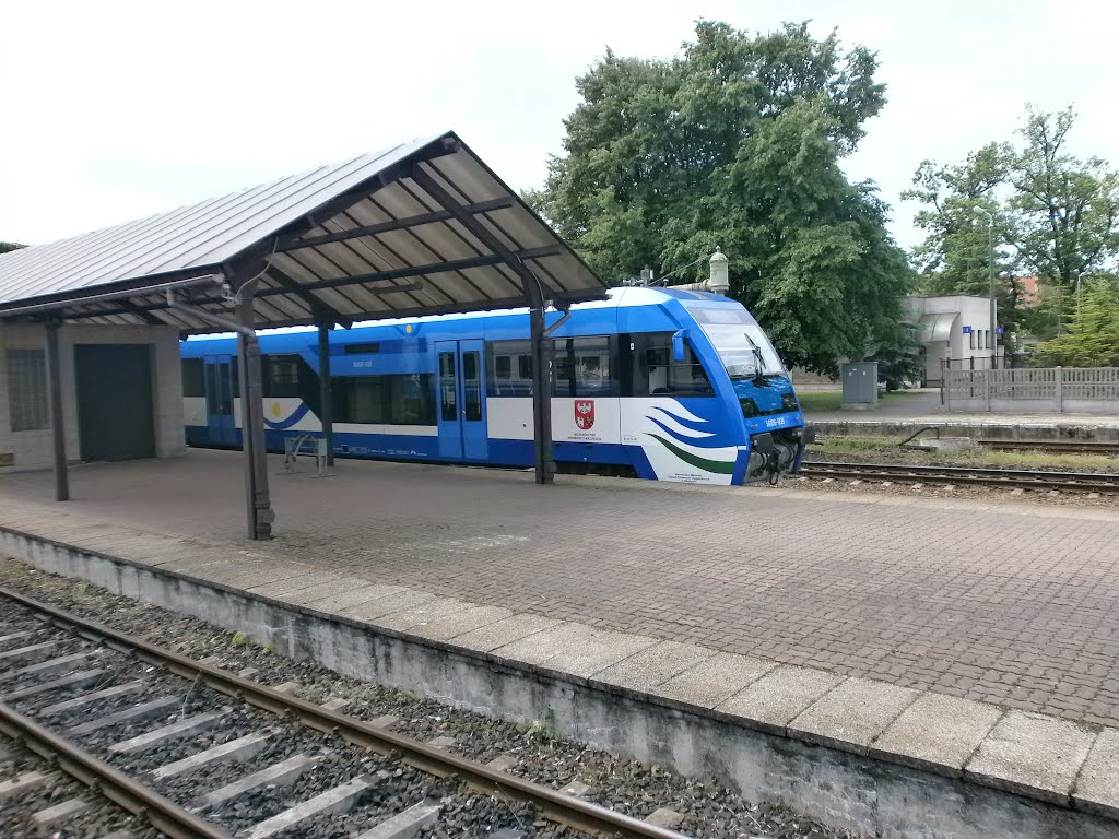 Diesel train on the Braniewo railway station by СаНЯ