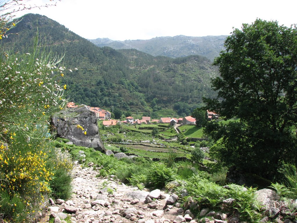 Vista de Rouças by Eladio Cortizo