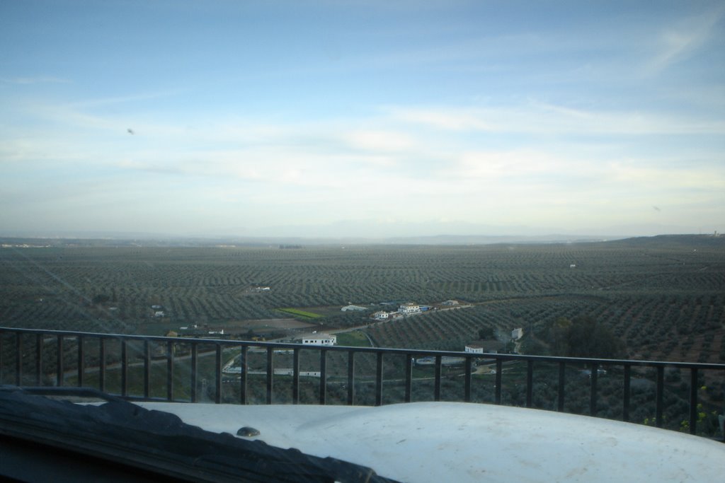 Mar de olivos, Baños de la Encina by baluty