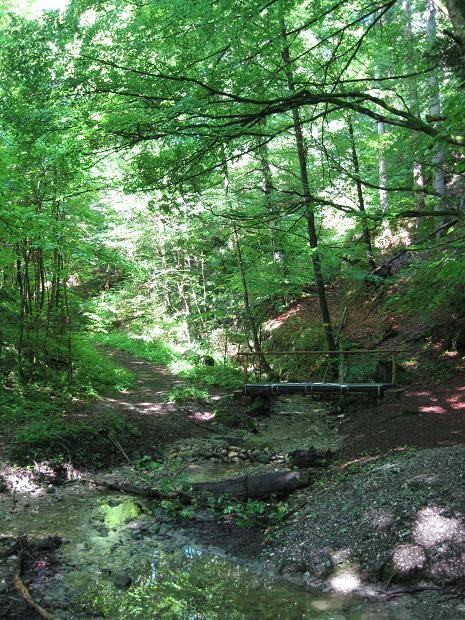 Tutzing Wanderweg durch die Waldschmidtschlucht zum Deixlfurter See by hubi1802