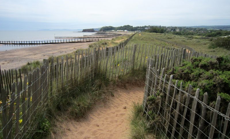 Dawlish Warren by petervickery