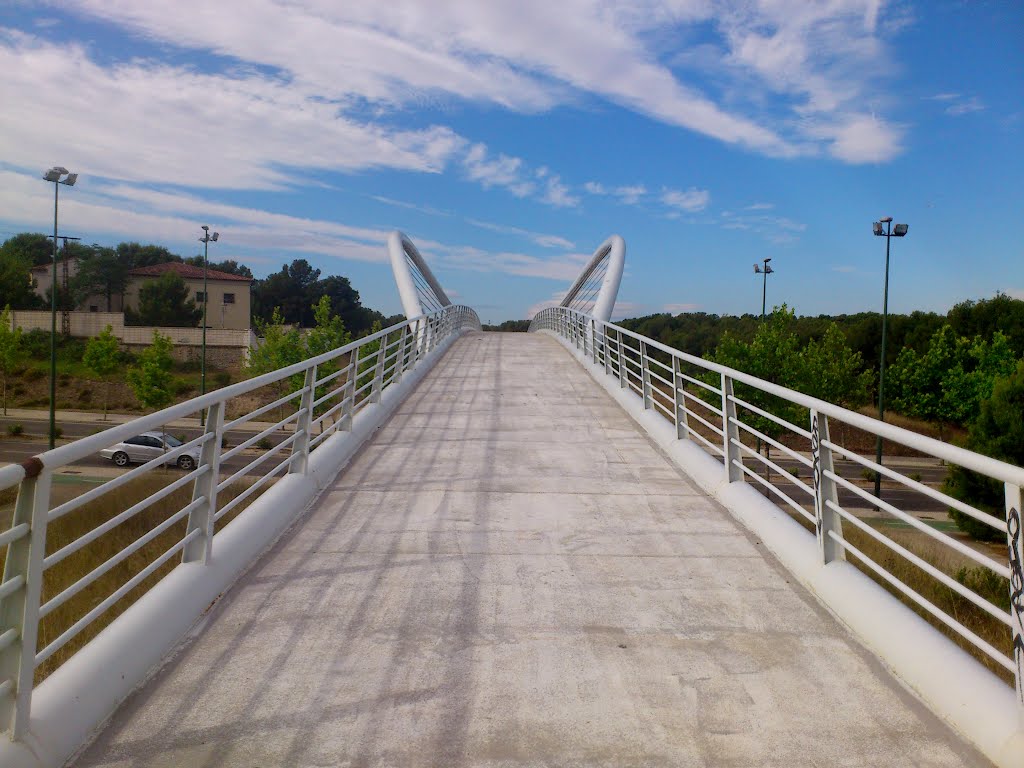 Pasarela de los Pinares de Venecia by JECALDO